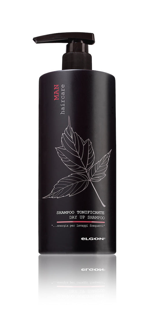 Champú Hombre Día Up