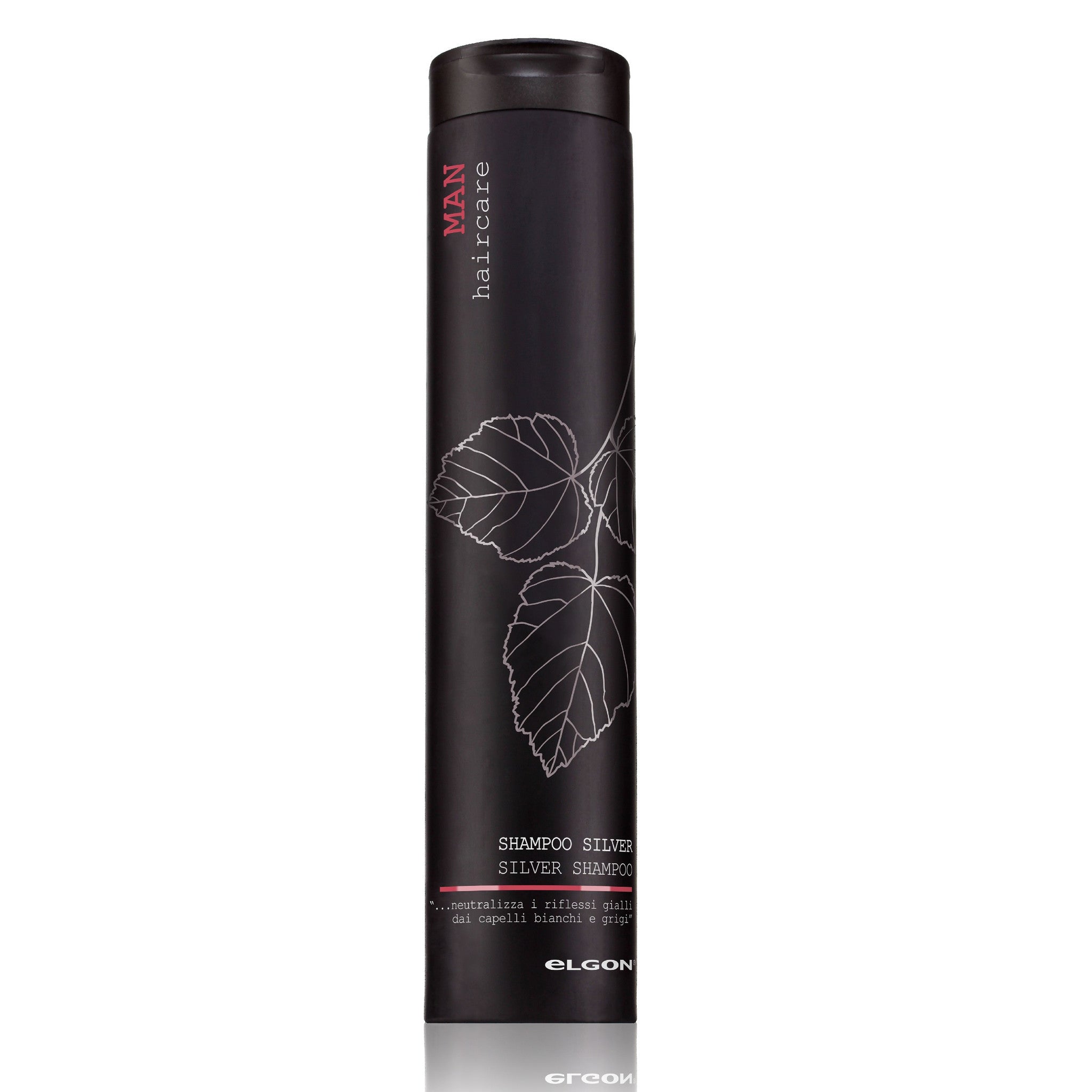 Shampoing Homme Argent